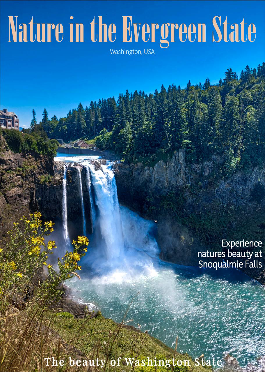 magazine